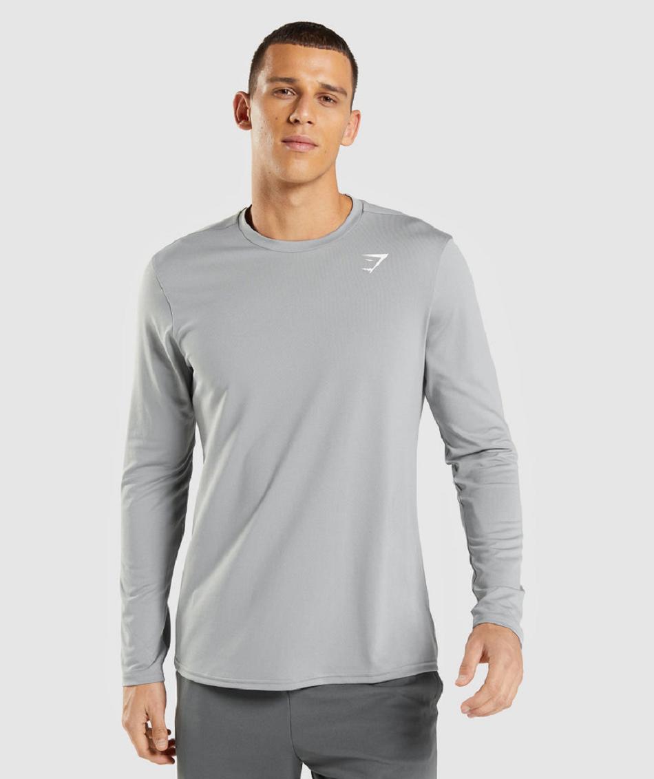 Gymshark Arrival Muške Dugi Rukav Sive | HR 2610NWY